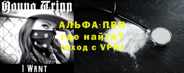 PSILOCYBIN Белокуриха