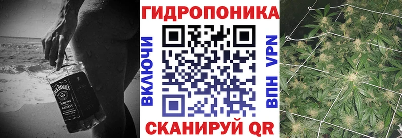 Бошки марихуана OG Kush  Купить закладки  Жирновск 